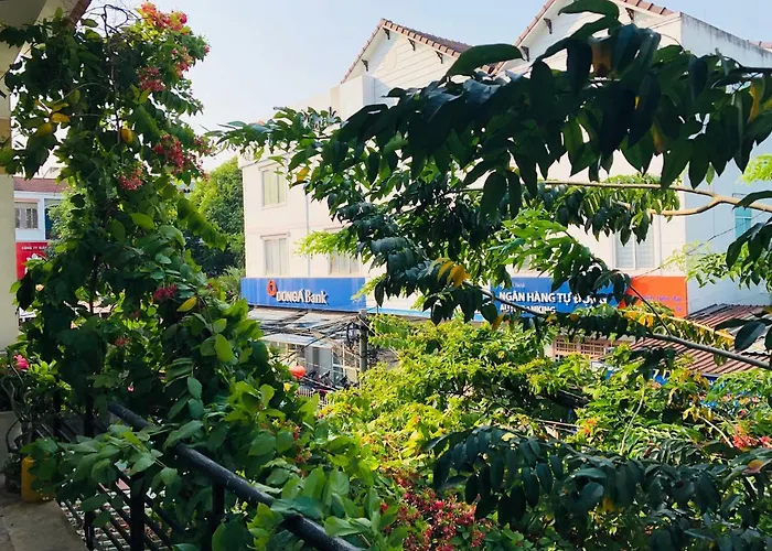 Snow Pearl Homestay Hoi An