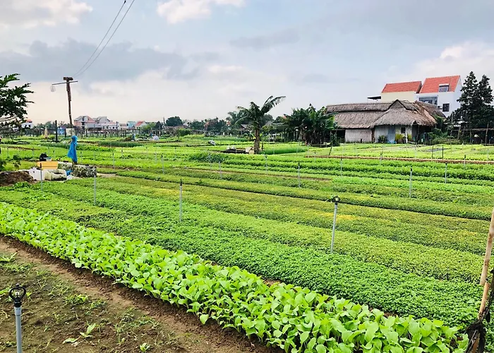 Snow Pearl Homestay Hoi An